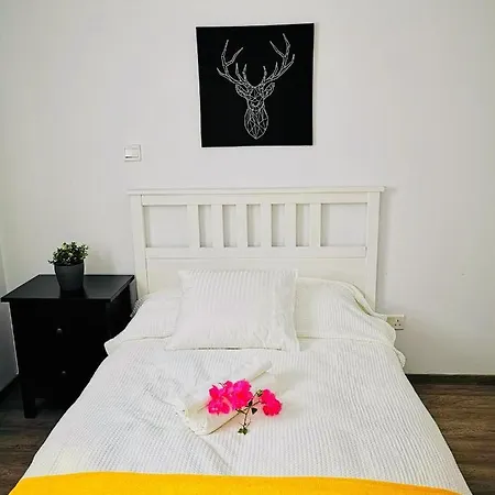 Michel Flat By Renters Cy *